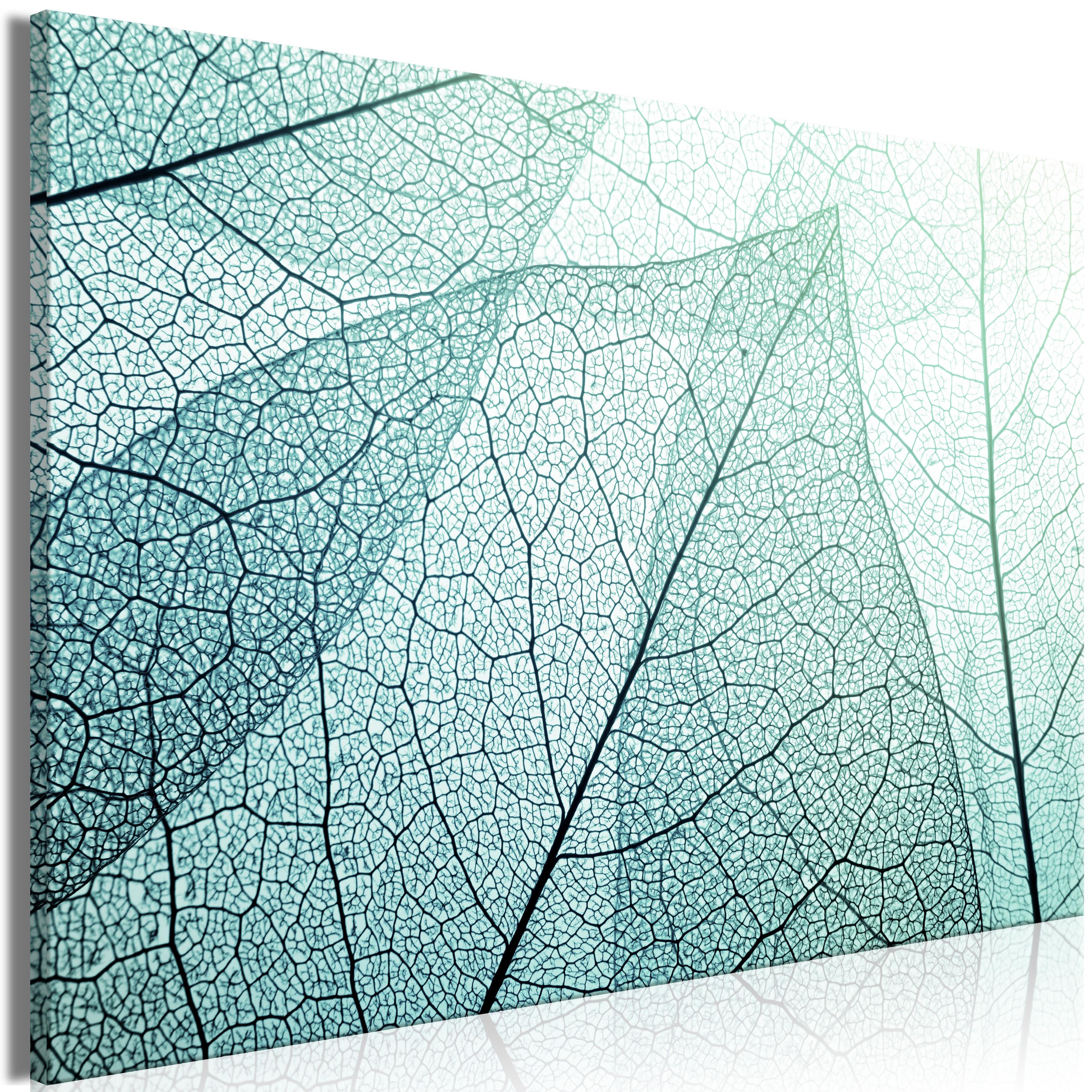 Billede Macroflora Part Wide 120 Standard