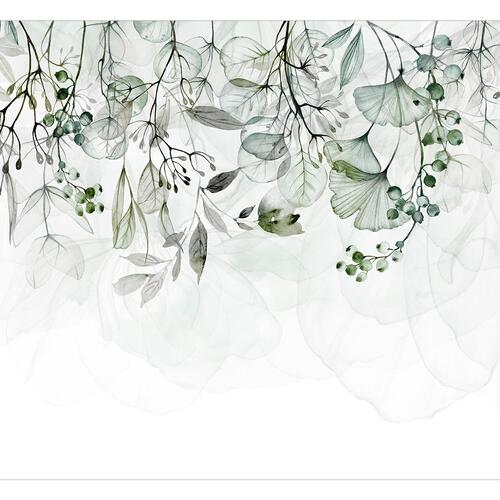 Fototapet - Foggy Nature - Green