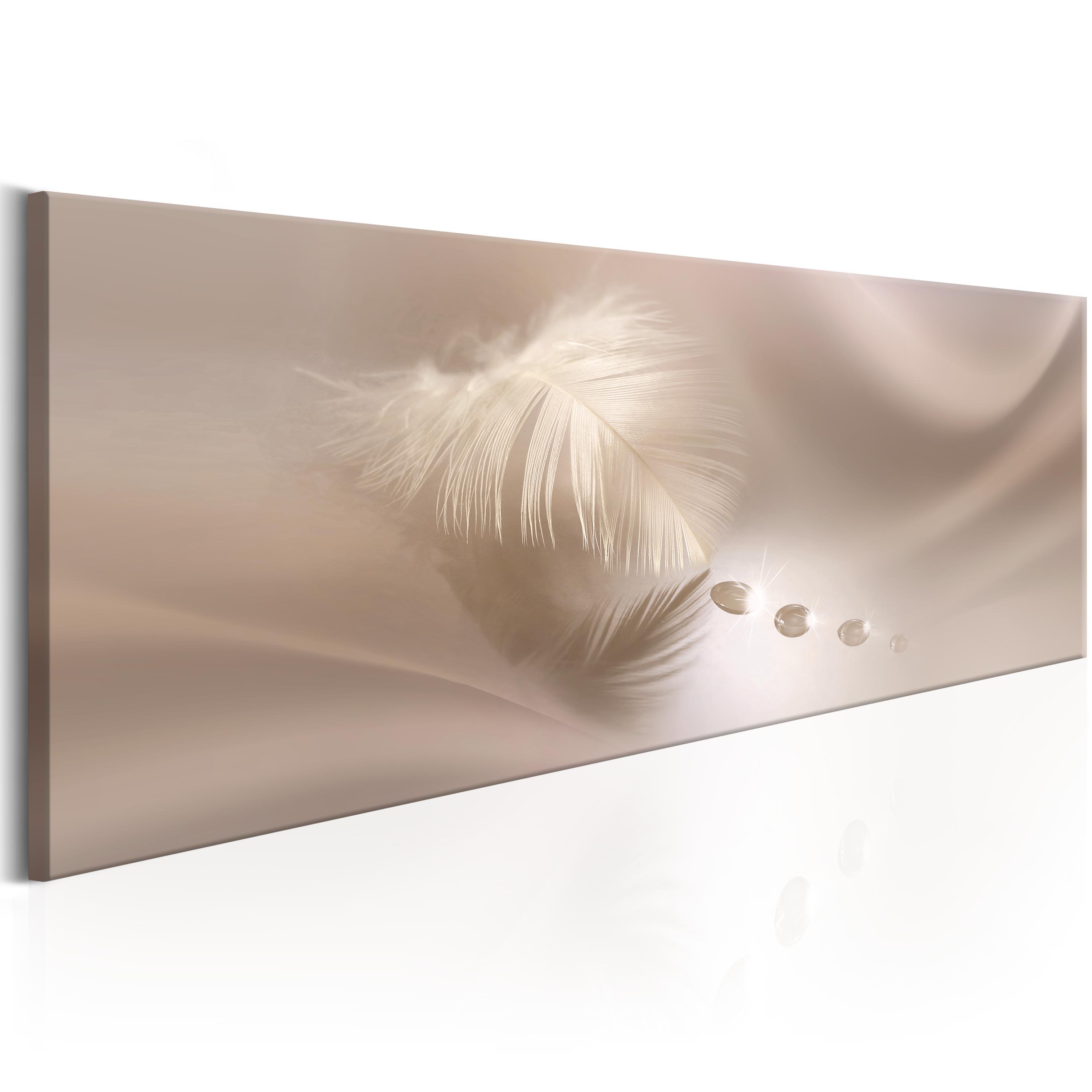 Billede - Delicate Feather - 150 x 50 cm - Premium Print billede