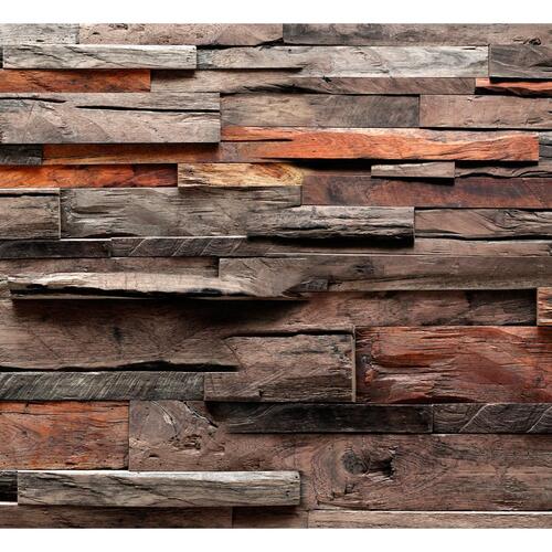Fototapet - Rustic Style: Old Forest