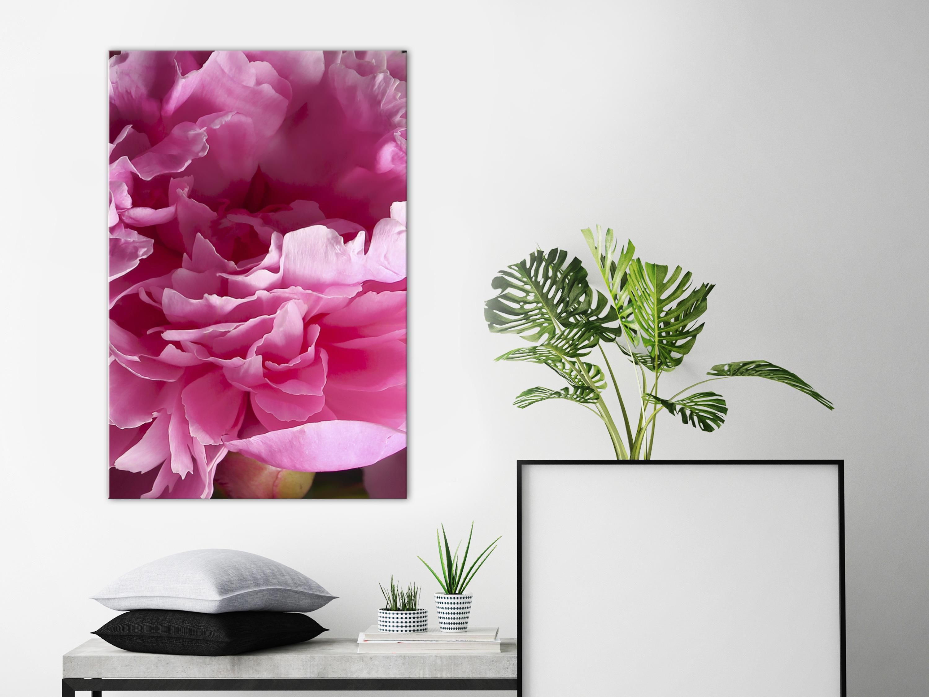 Billede - Beautiful Peonies (1 Part) Vertical - 80 x 120 cm - Premium Print billede