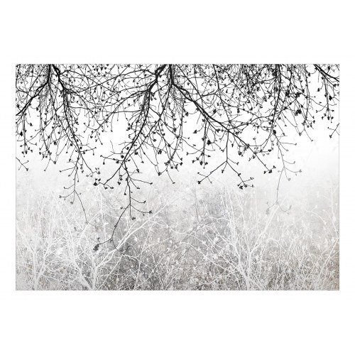 Fototapet - Natural Brightness