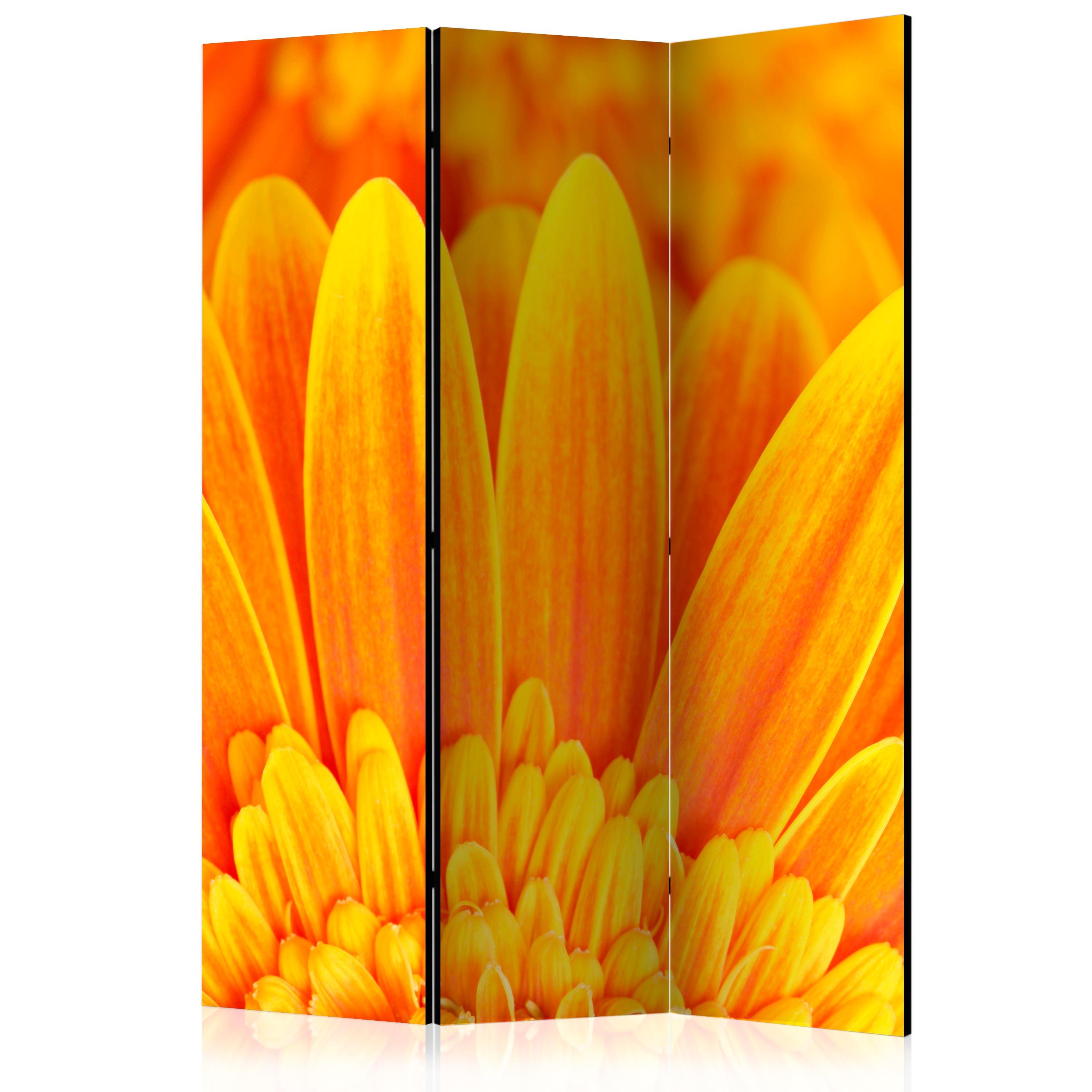 Skærmvæg - Yellow gerbera daisies - 135 x 172 cm - Enkeltsiddet billede