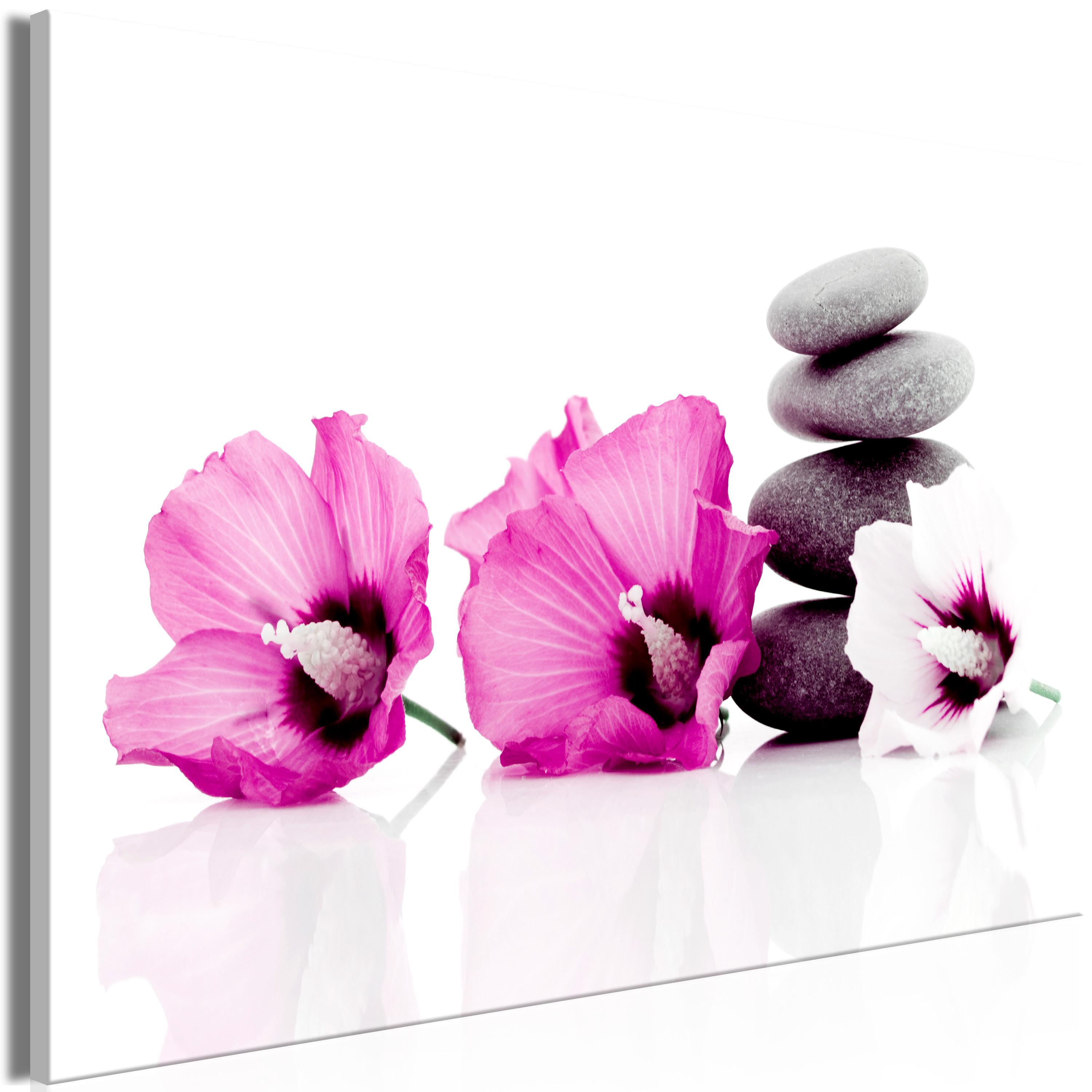 Billede - Calm Mallow (1 Part) Wide Pink - 60 x 40 cm - Standard billede