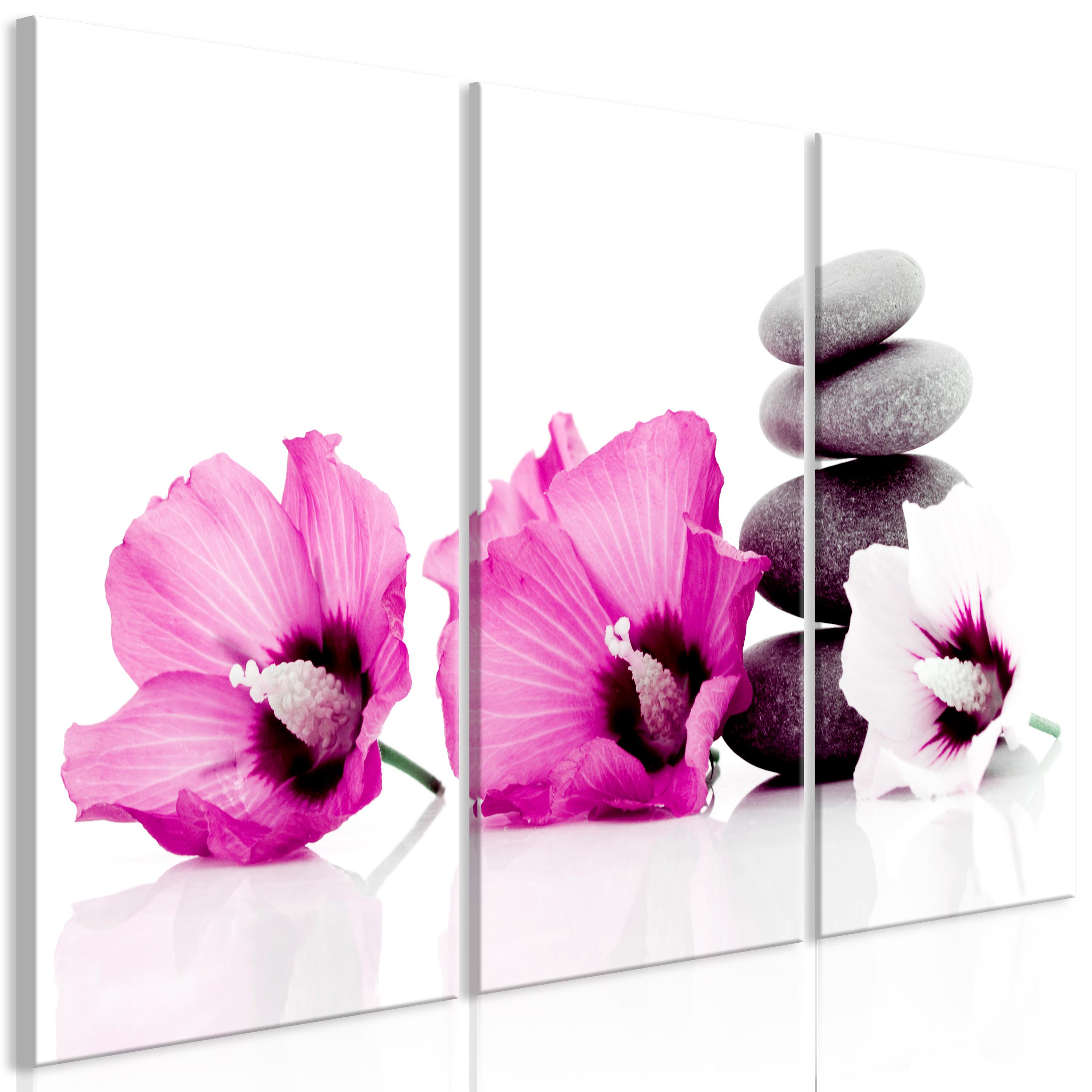 Billede - Calm Mallow (3 dele) Pink - 60 x 40 cm - Premium Print billede