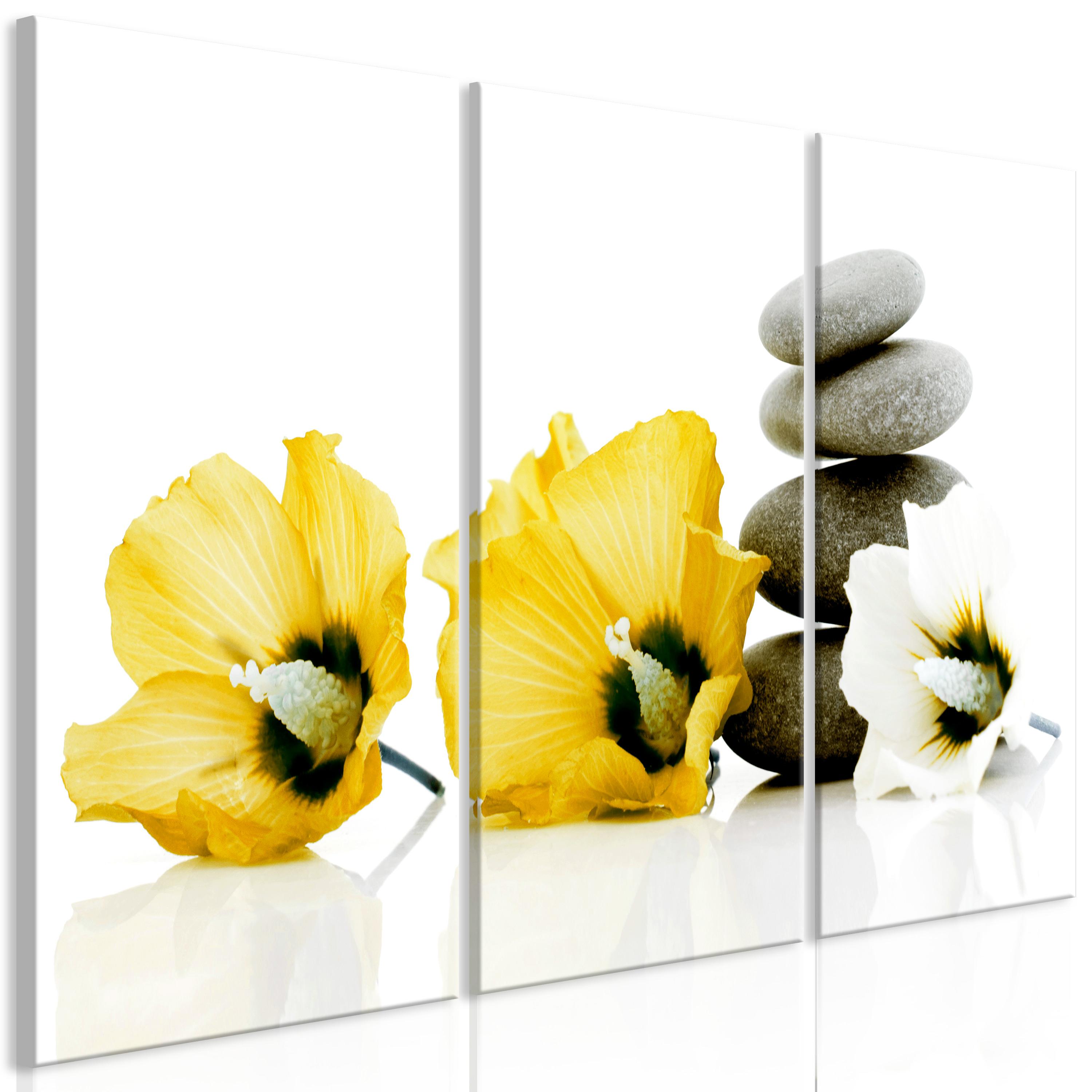 Billede - Calm Mallow (3 dele) Yellow - 60 x 40 cm - Standard billede