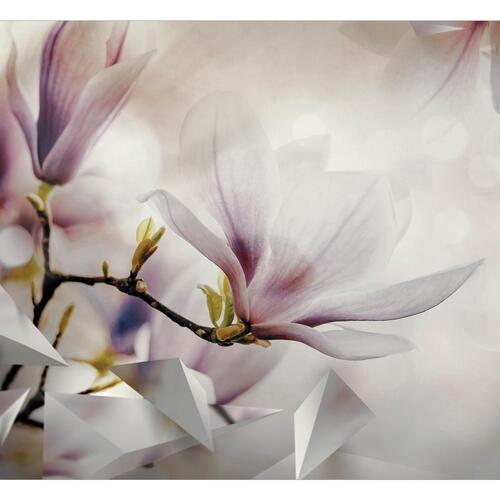 Fototapet - Subtle Magnolias - First Variant