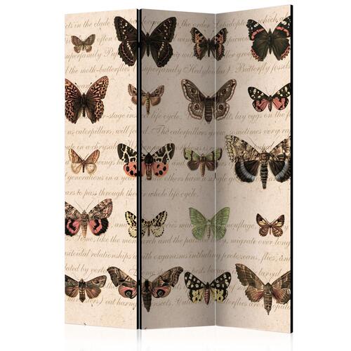 Skærmvæg - Retro Style: Butterflies