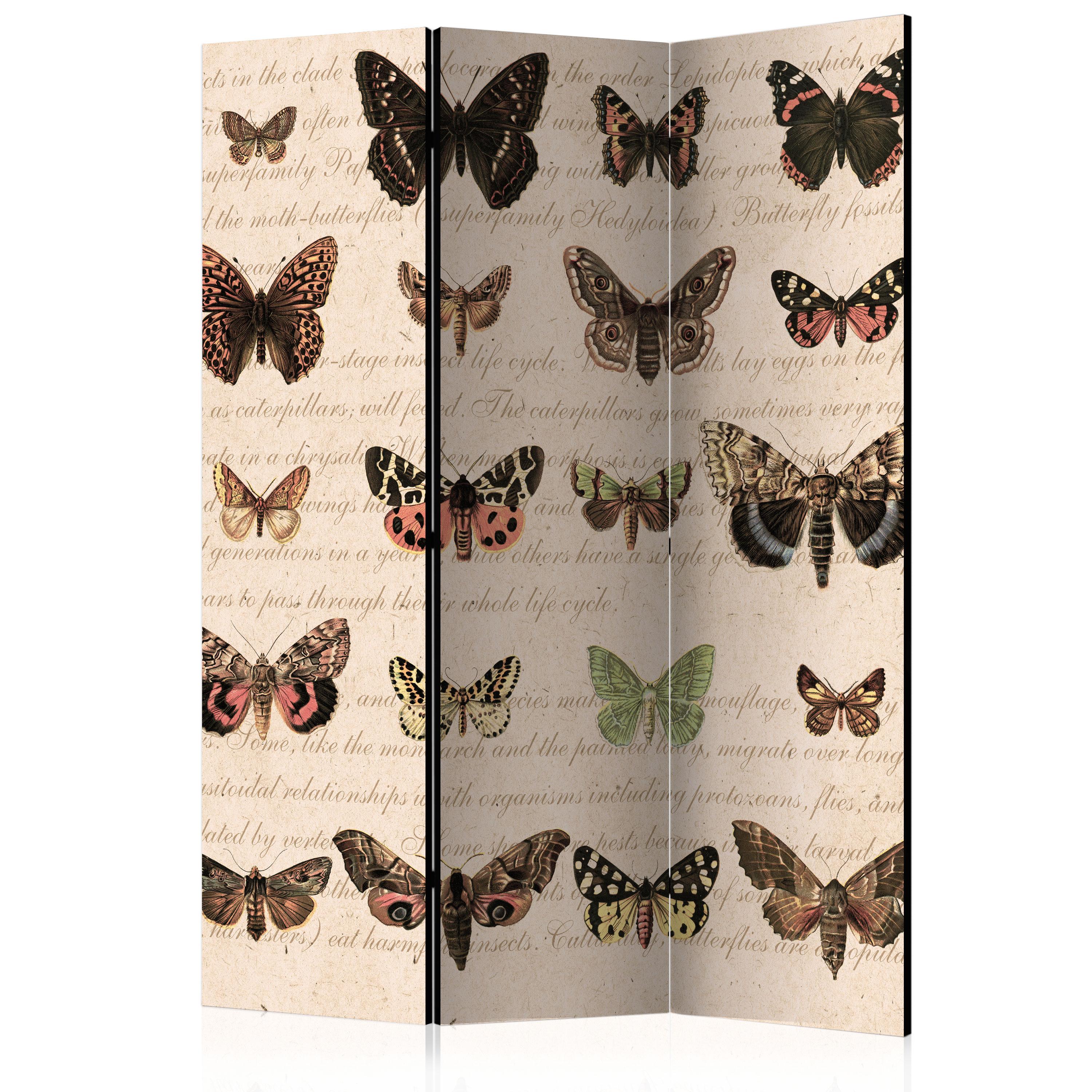 Skærmvæg - Retro Style: Butterflies - 135 x 172 cm - Dobbeltsidet billede