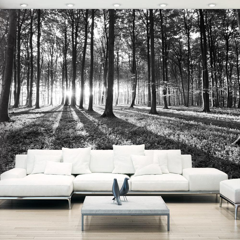 Fototapet - Grey Wilderness - 98 x 70 cm - Selvklæbende billede