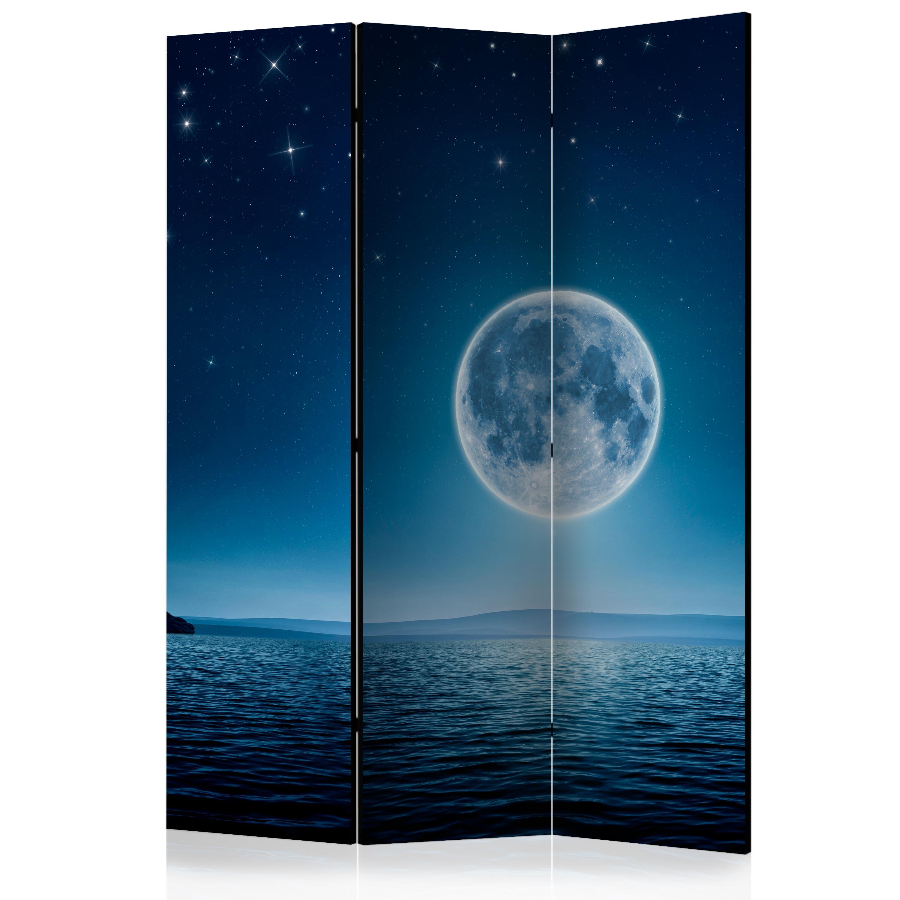Skærmvæg – Moonlit night – 135 x 172 cm – Dobbeltsidet