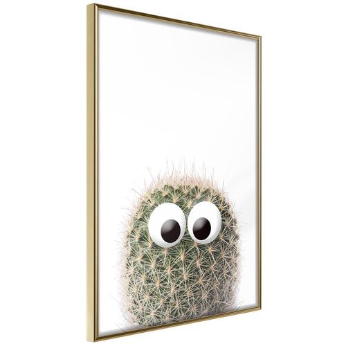 Plakat - Cactus With Eyes