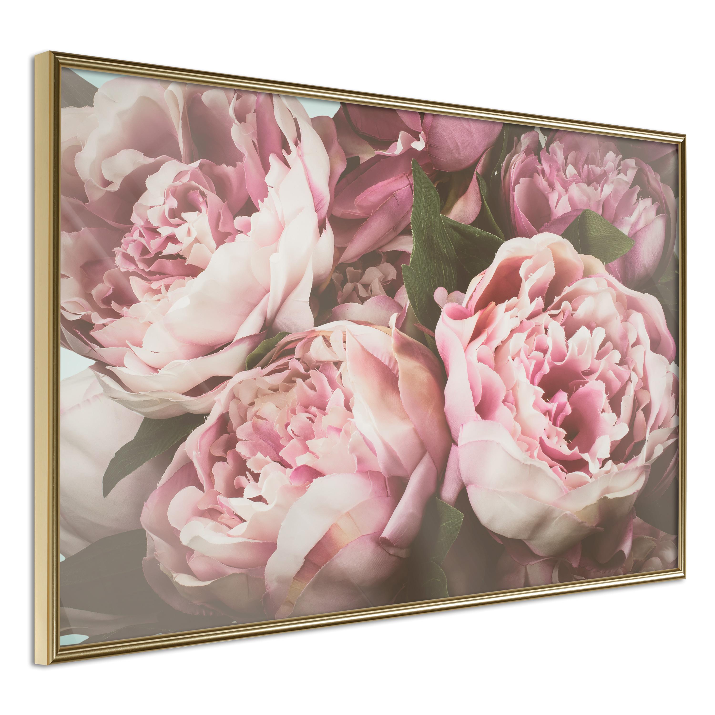 Plakat - Pink Peonies - 60 x 40 cm - Guldramme billede