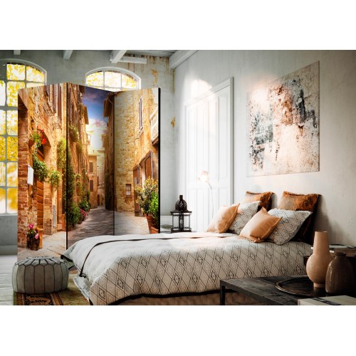 Skærmvæg - Colourful Street in Tuscany