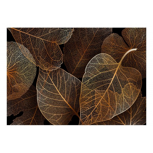 Fototapet - Nature in My Home - First Variant