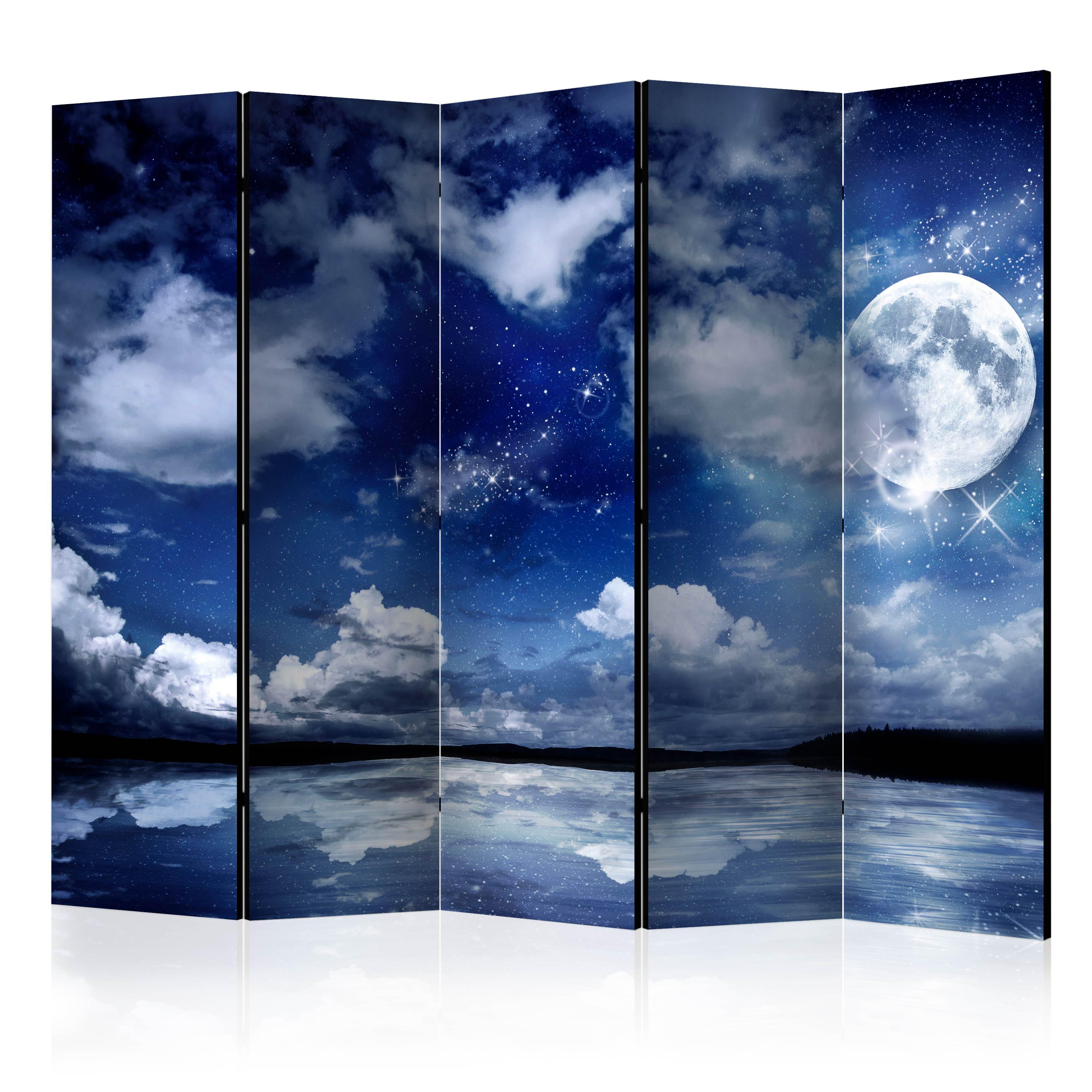 Skærmvæg Magic Night Ii 225 X 172 Cm Dobbeltsidet