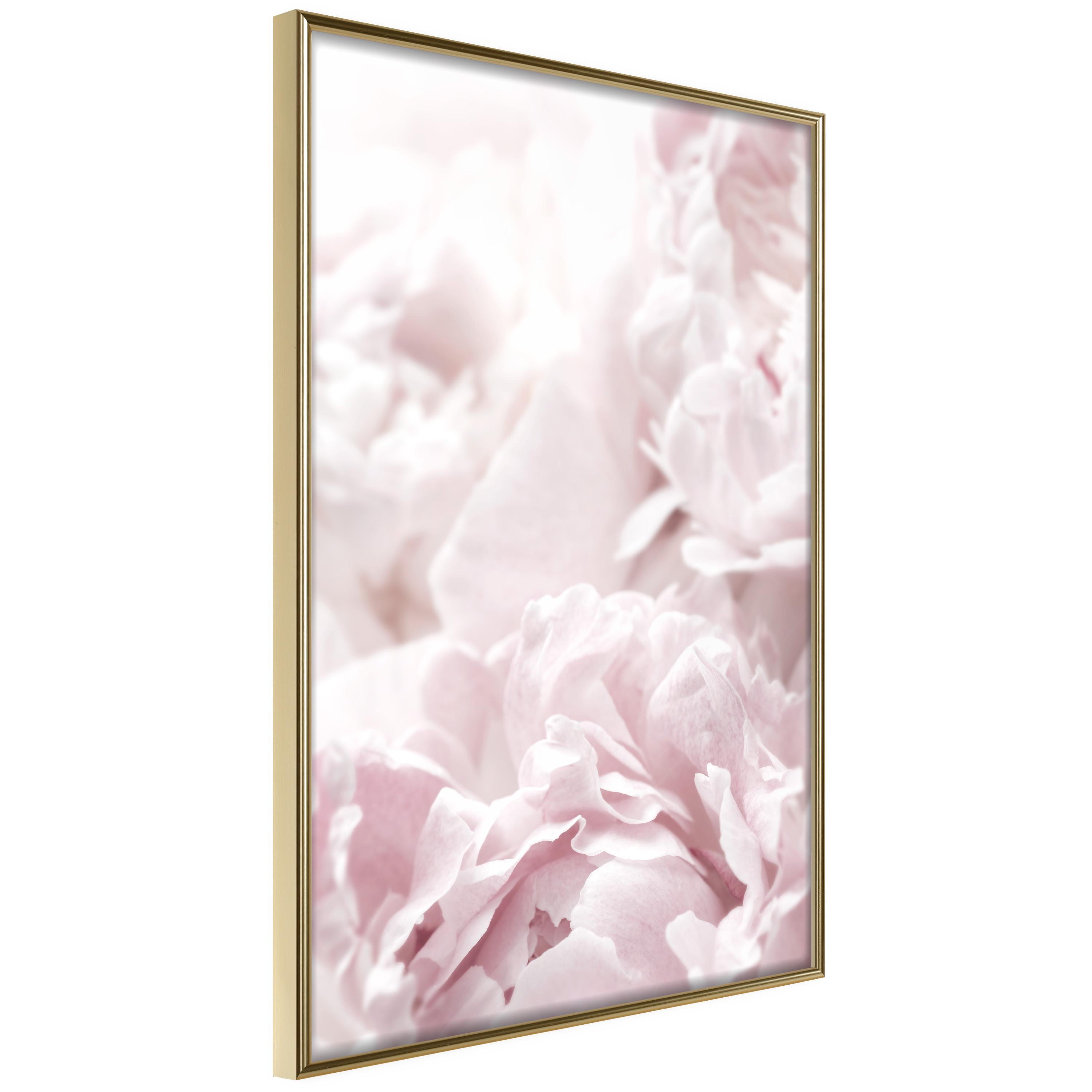 Plakat - Fluffy Peonies - 20 x 30 cm - Guldramme billede