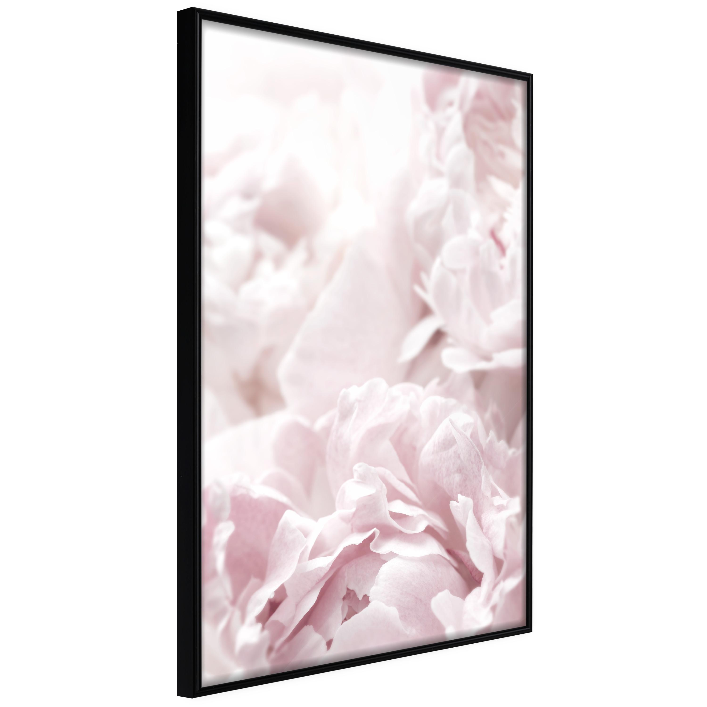 Plakat - Fluffy Peonies - 40 x 60 cm - Sort ramme billede