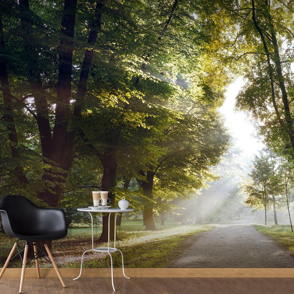 Fototapet - Morning Walk - 294 x 210 cm - Selvklæbende billede