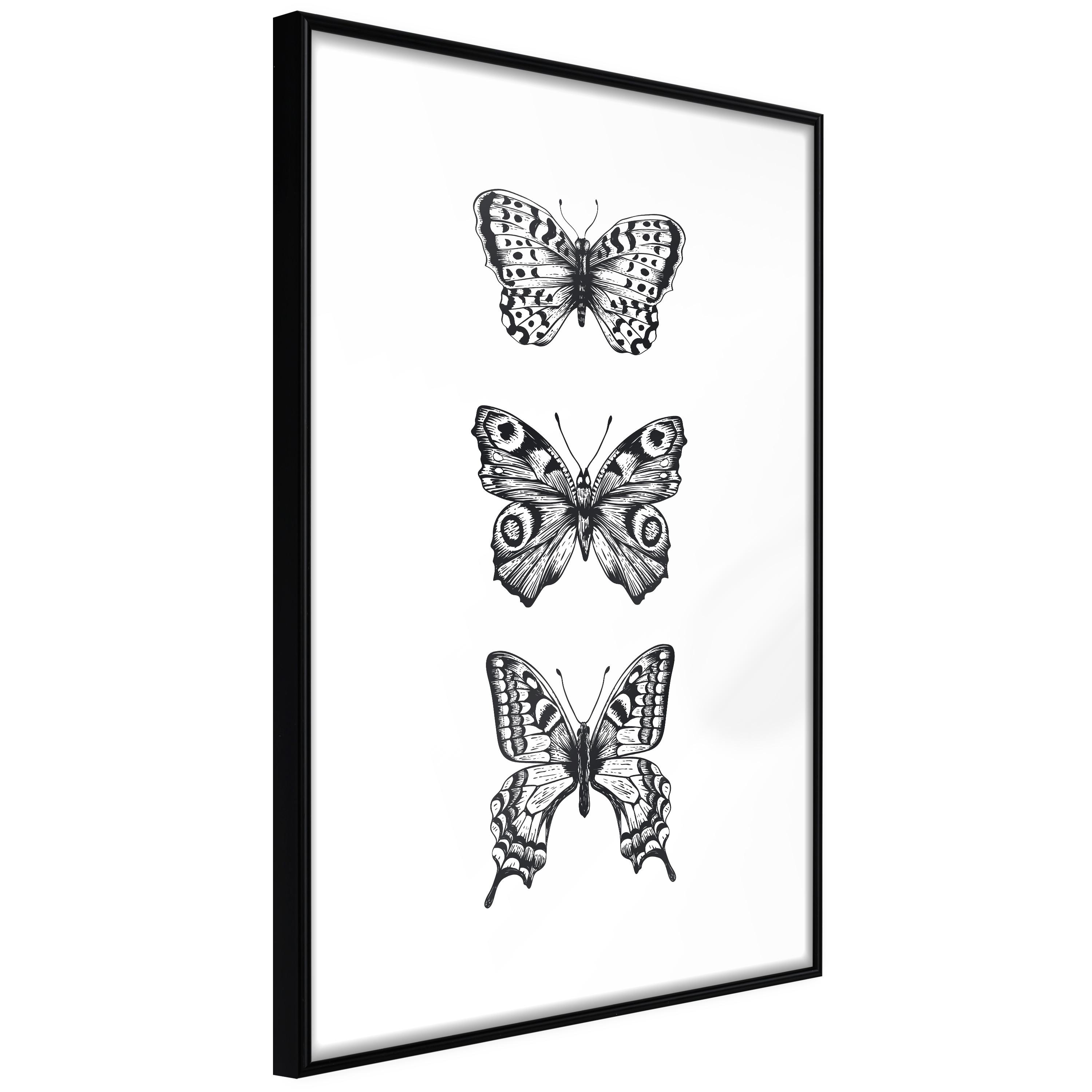 Plakat - Three Butterflies - 20 x 30 cm - Sort ramme billede