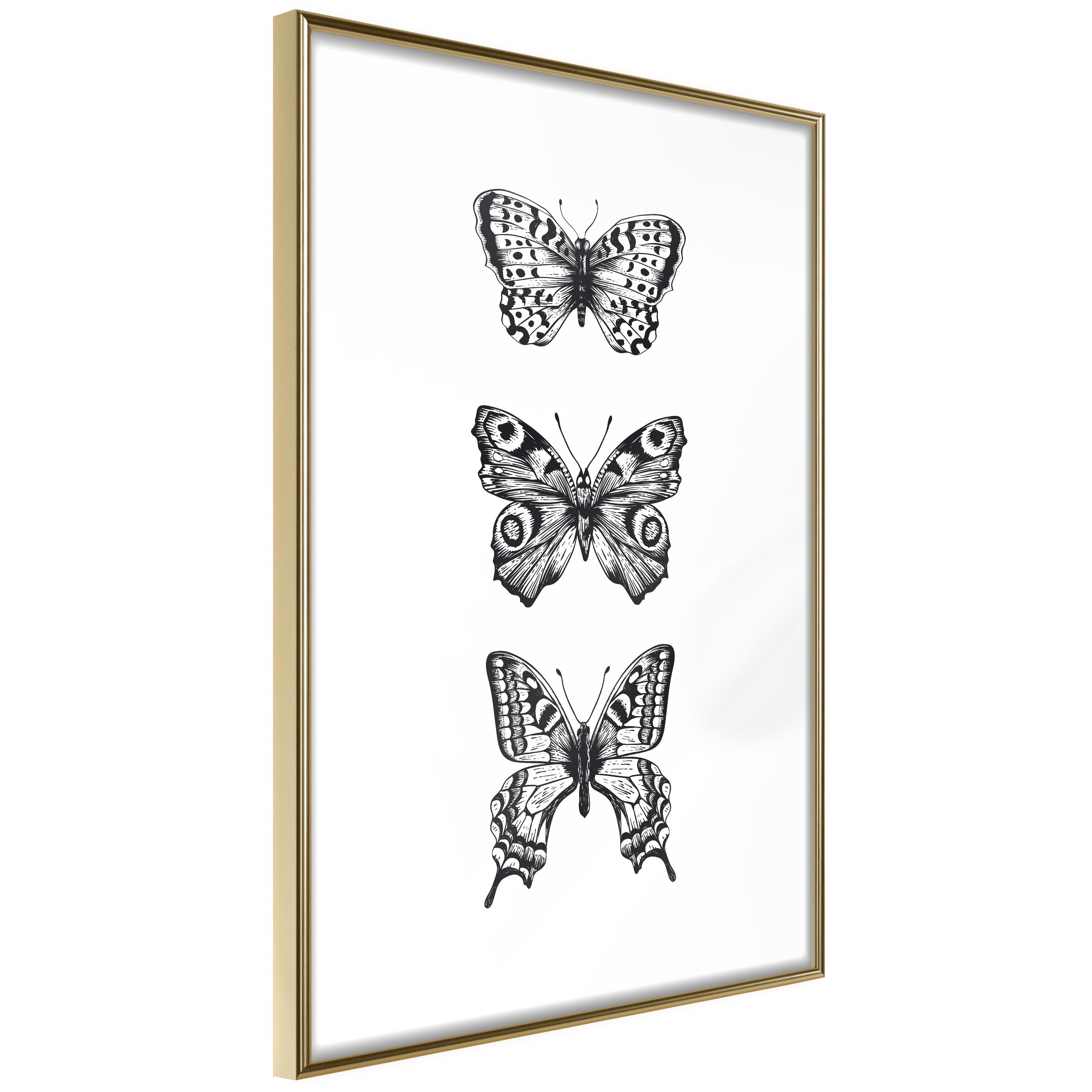 Plakat - Three Butterflies - 40 x 60 cm - Guldramme billede
