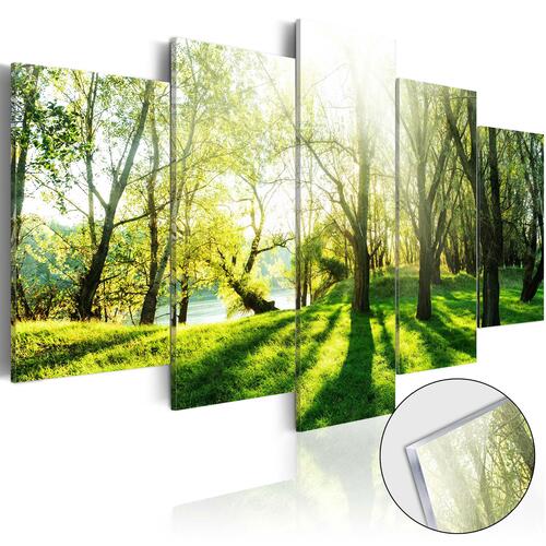 Billede på akrylglas - Green Glade