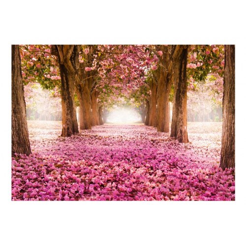 Fototapet Pink grove