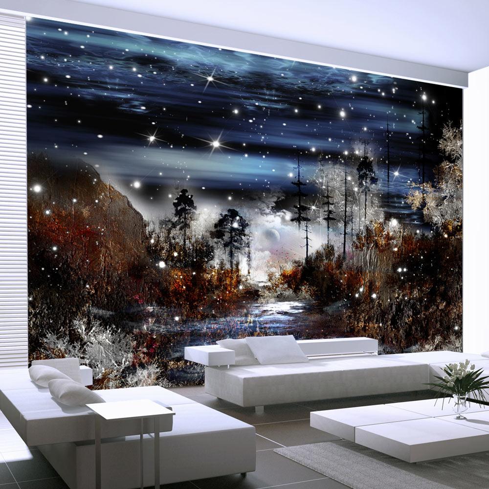 Fototapet - Night in the forest - 100 x 70 cm - Standard billede