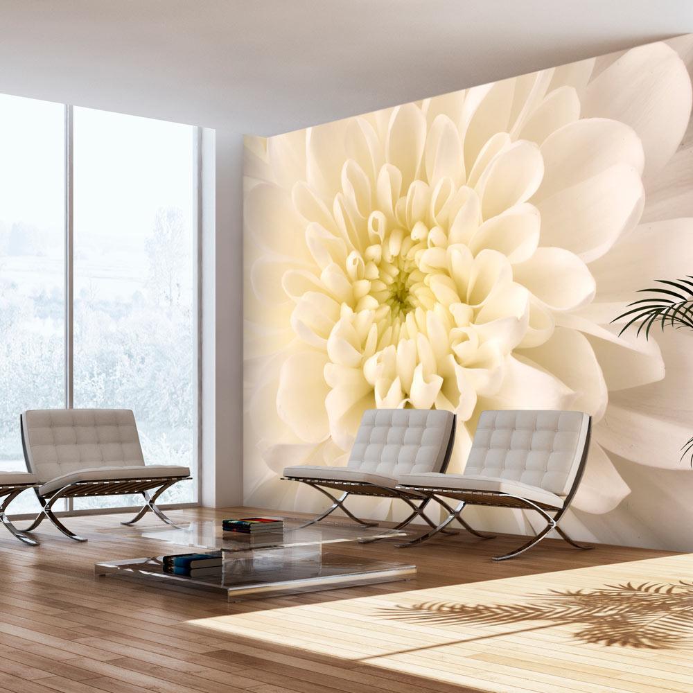 Fototapet - Hvid dahlia - 300 x 231 cm - Standard billede