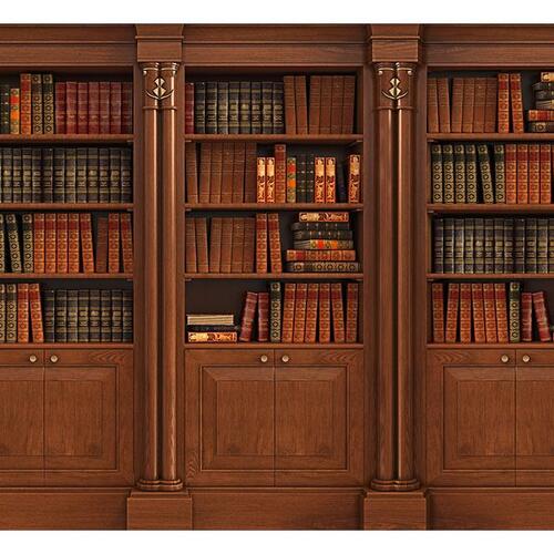 Fototapet - Elegant Library