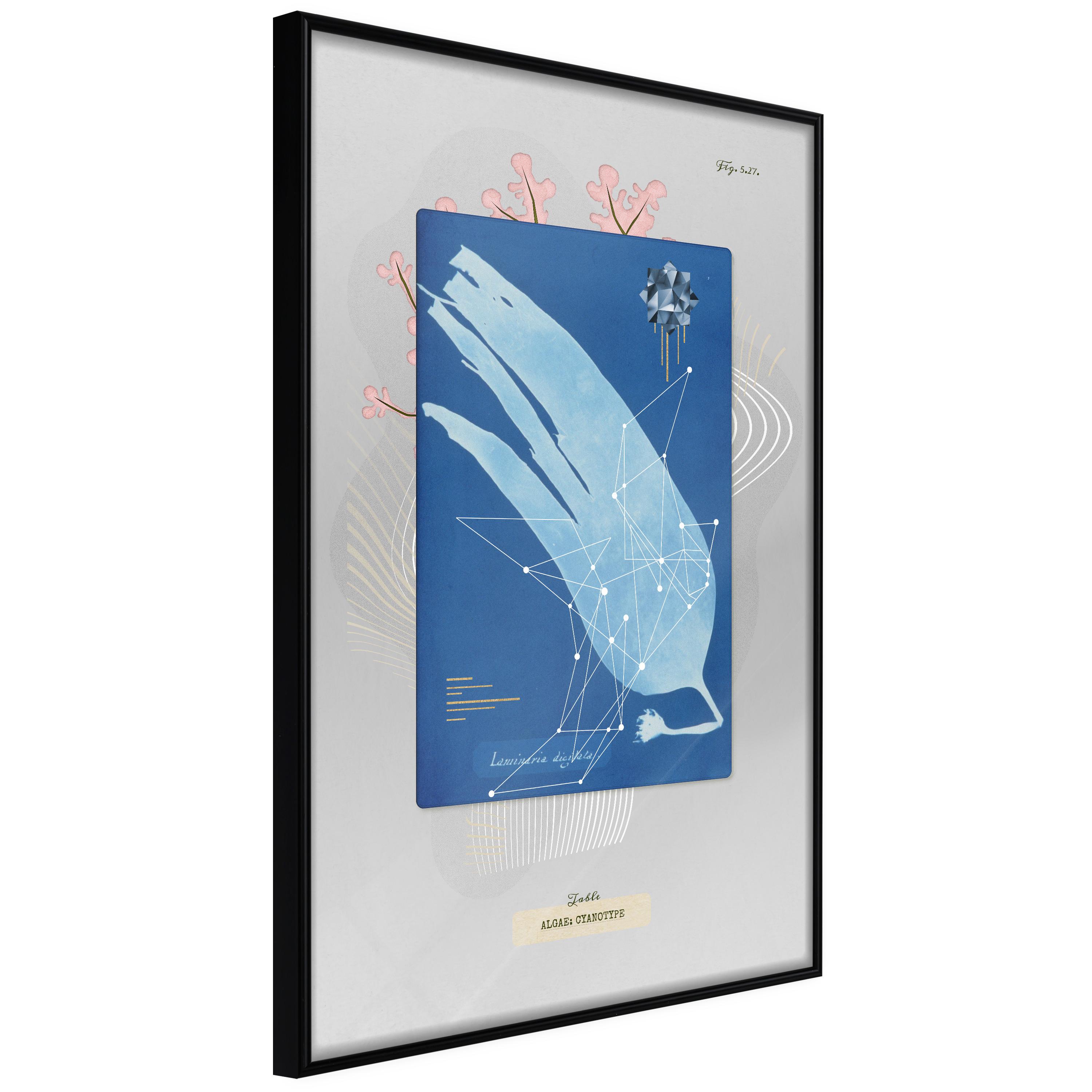 Plakat - Alga - 20 x 30 cm - Sort ramme billede