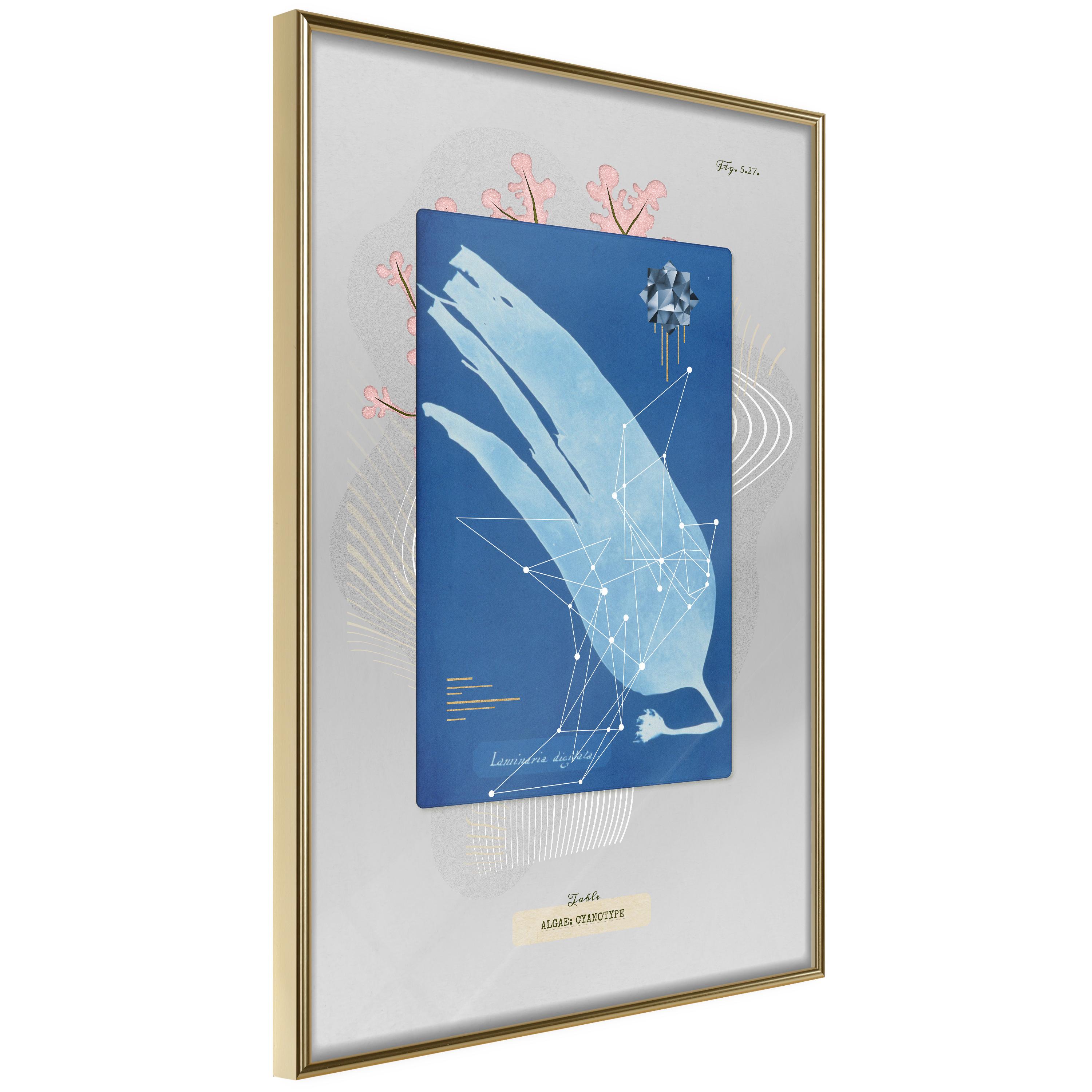 Plakat - Alga - 30 x 45 cm - Guldramme billede