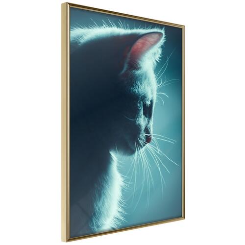 Plakat - Night Tramp