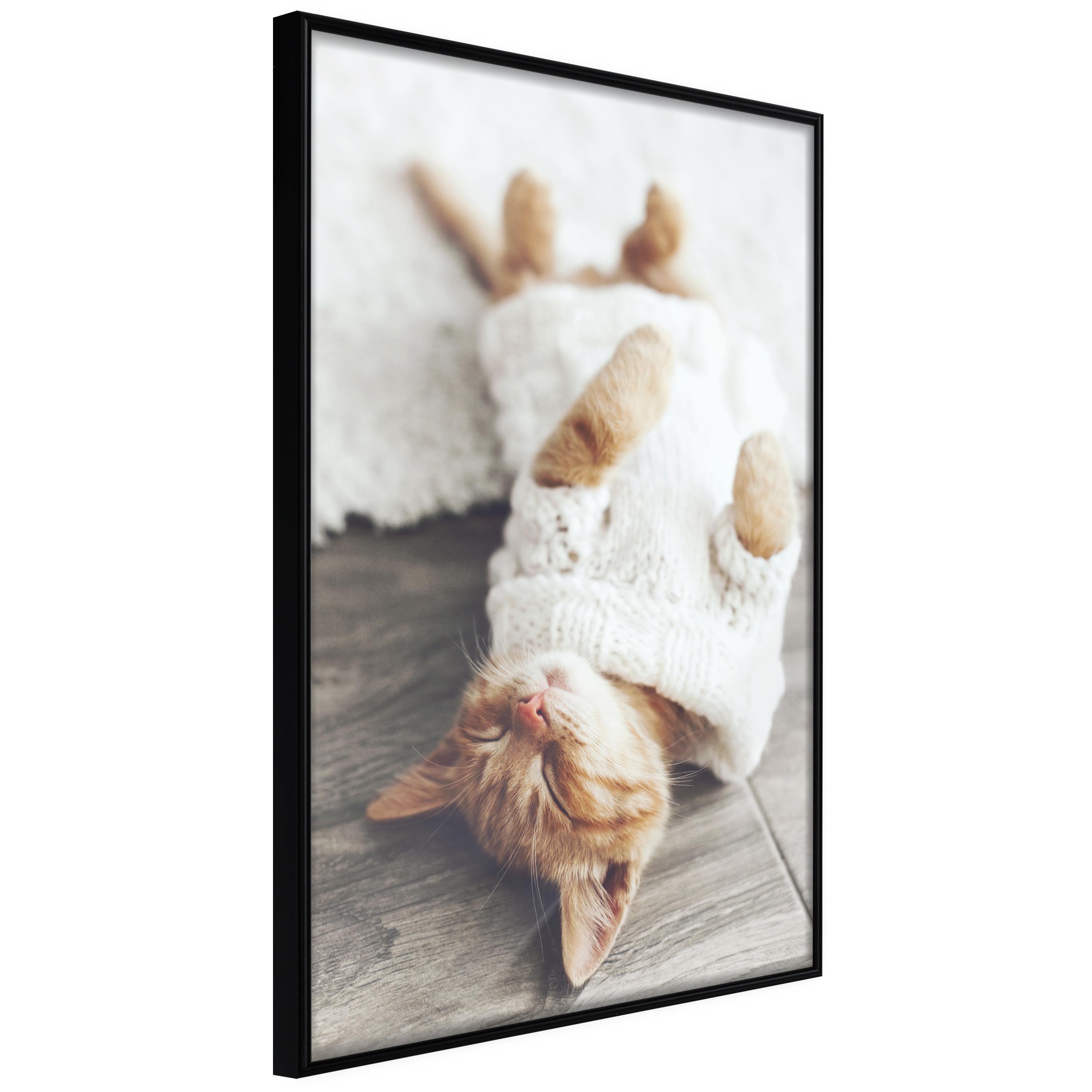 Plakat - Lazy Cat - 30 x 45 cm - Sort ramme billede