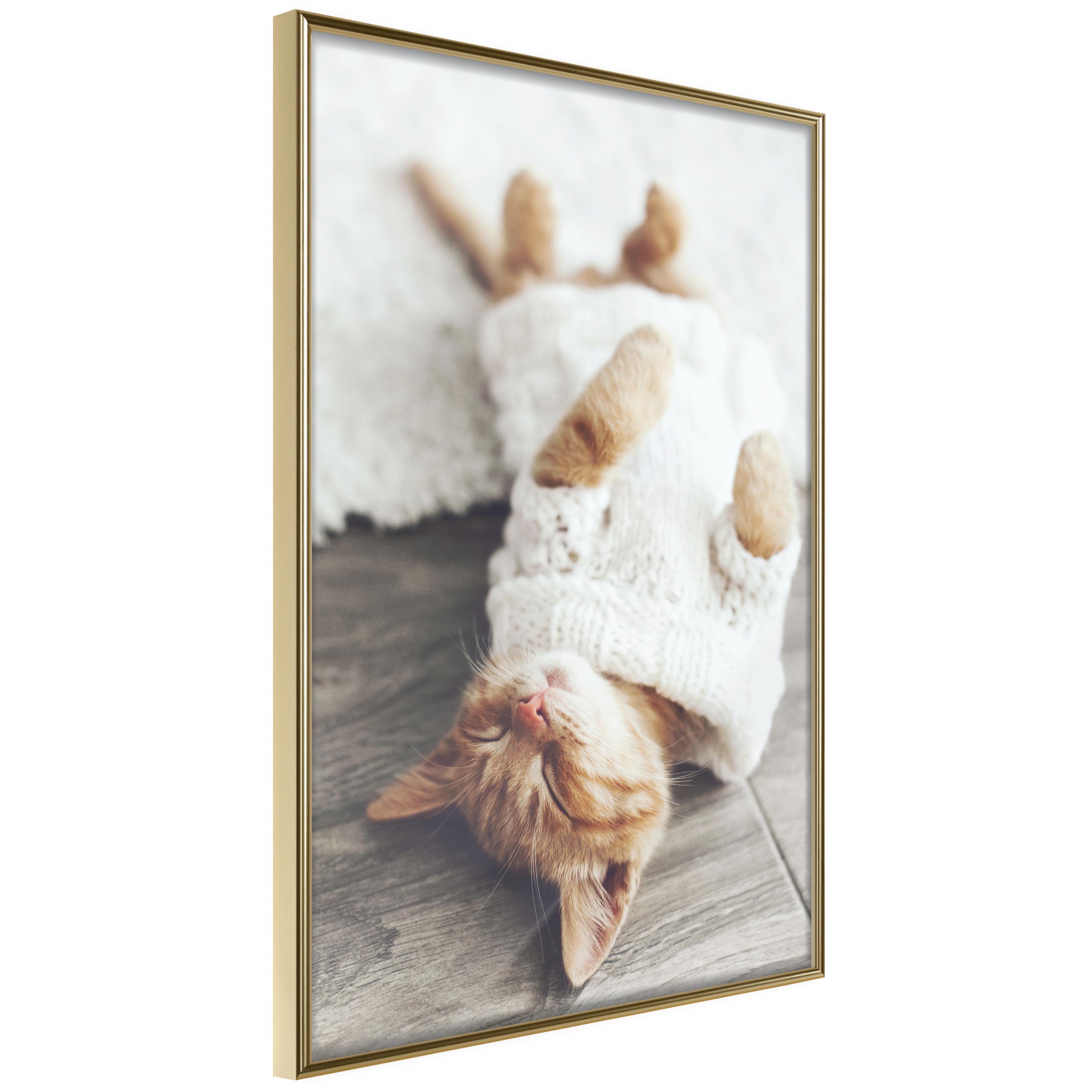Plakat - Lazy Cat - 30 x 45 cm - Guldramme billede