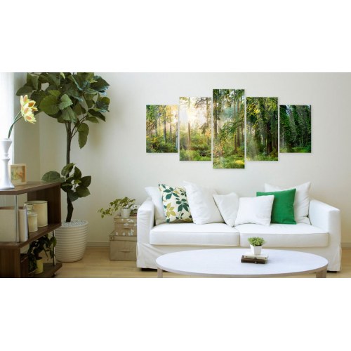 Billede på akrylglas Grønt Fristed - skovlandskab, 100 x 50 cm / 200 x 100 cm