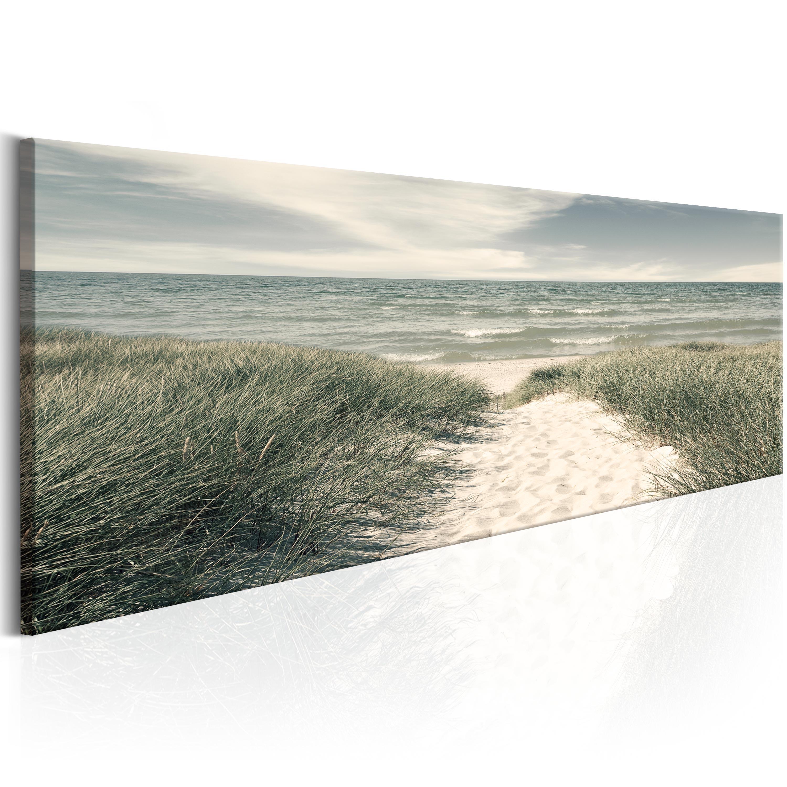 Billede - Secrets of the Sea - 120 x 40 cm - Standard billede