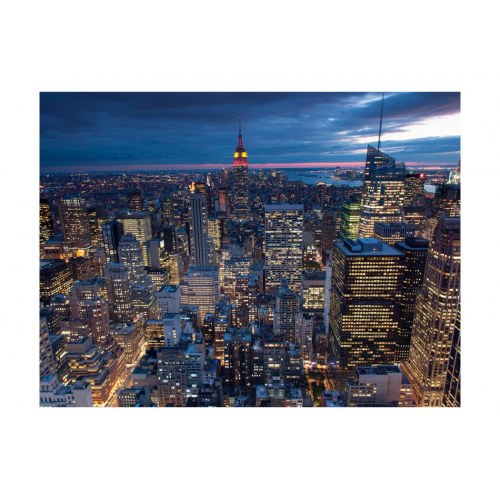 Fototapet - New York - nat