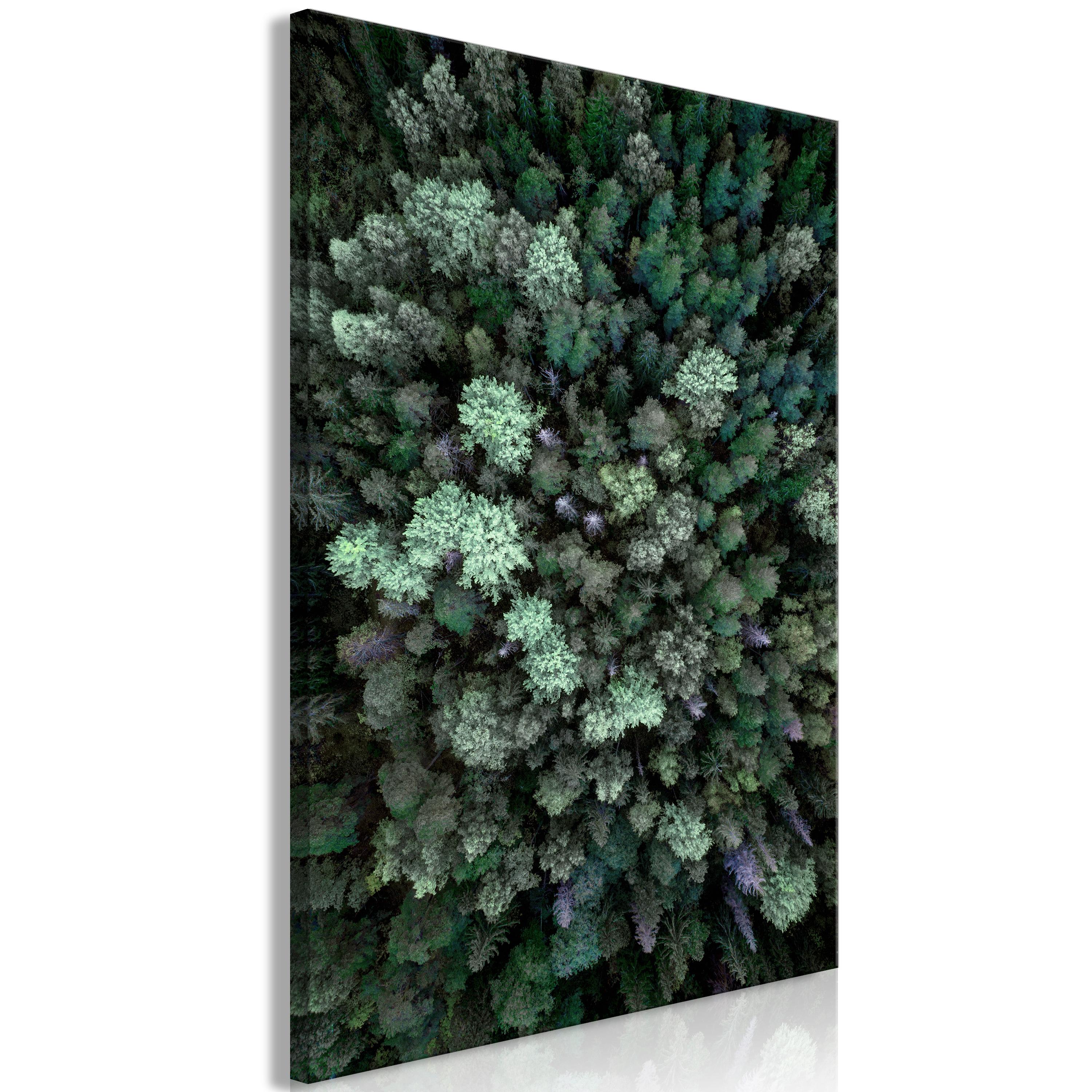 Billede - Flying Over Forest (1 Part) Vertical - 40 x 60 cm - På italiensk lærred billede