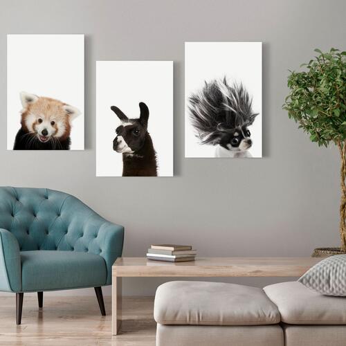 Billede - Friendly Animals (Collection)