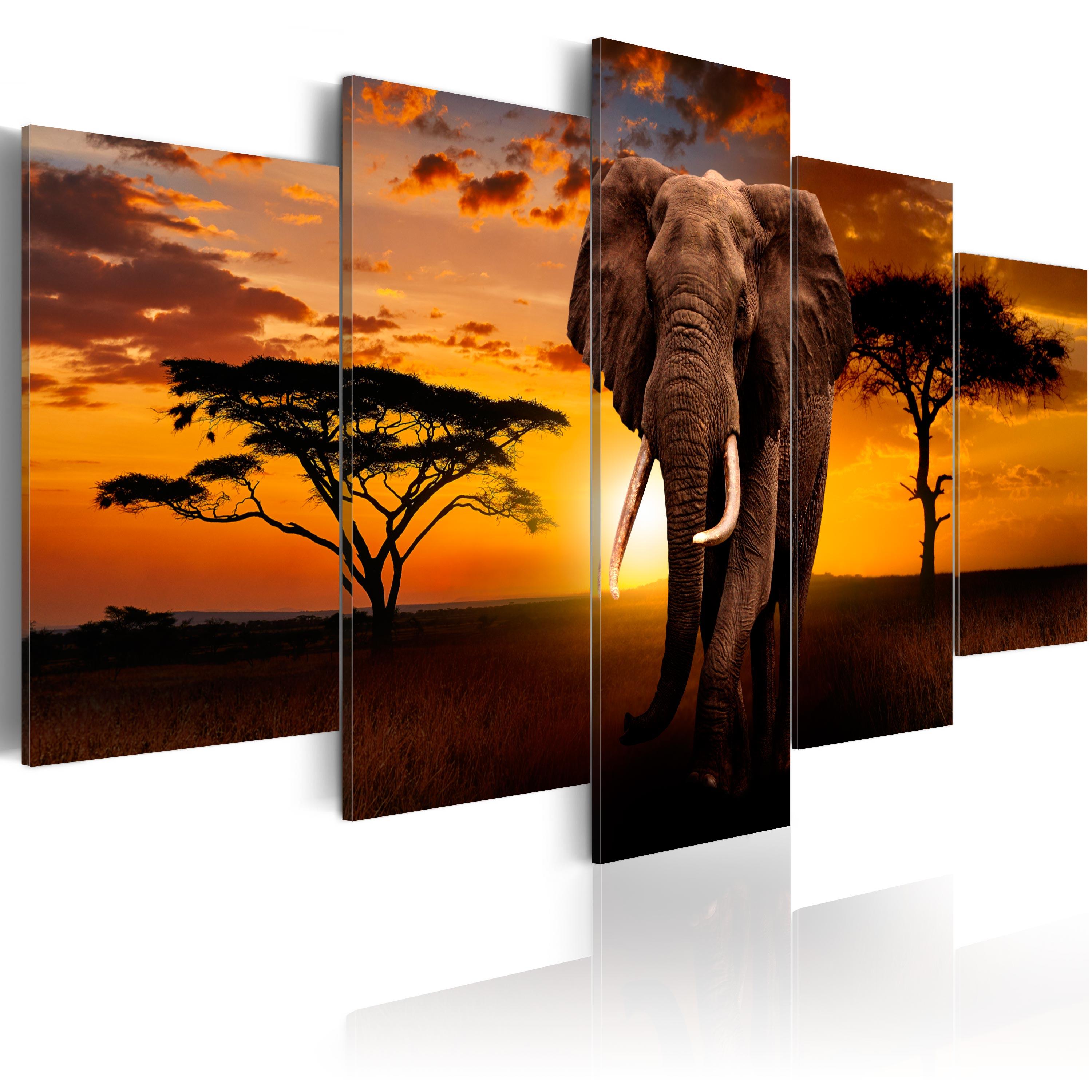 Billede The Savannah King 100 X 50 Cm På Italiensk Lærred