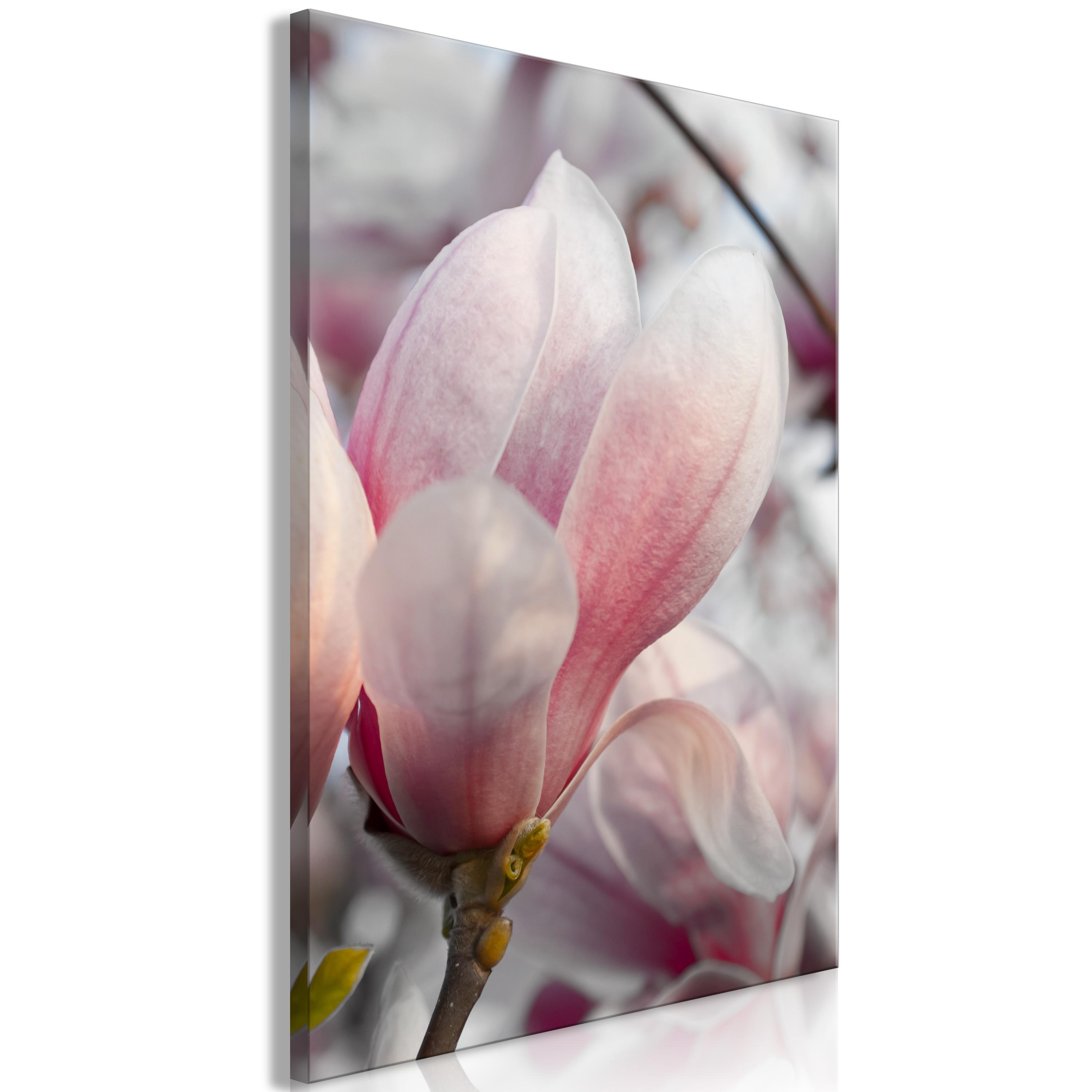 Billede - Herald of Spring (1 Part) Vertical - 40 x 60 cm - Standard billede