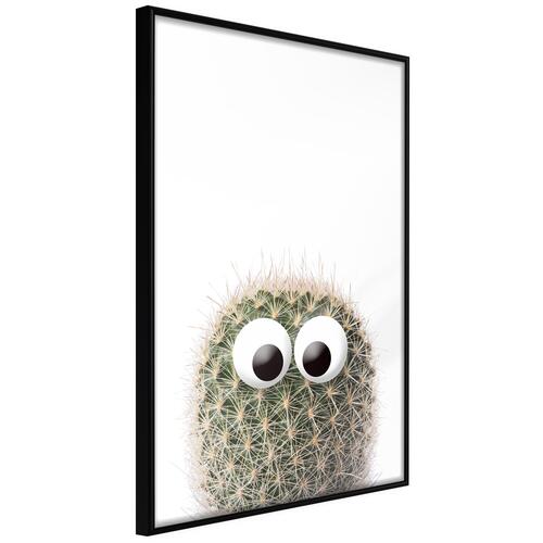 Plakat - Cactus With Eyes