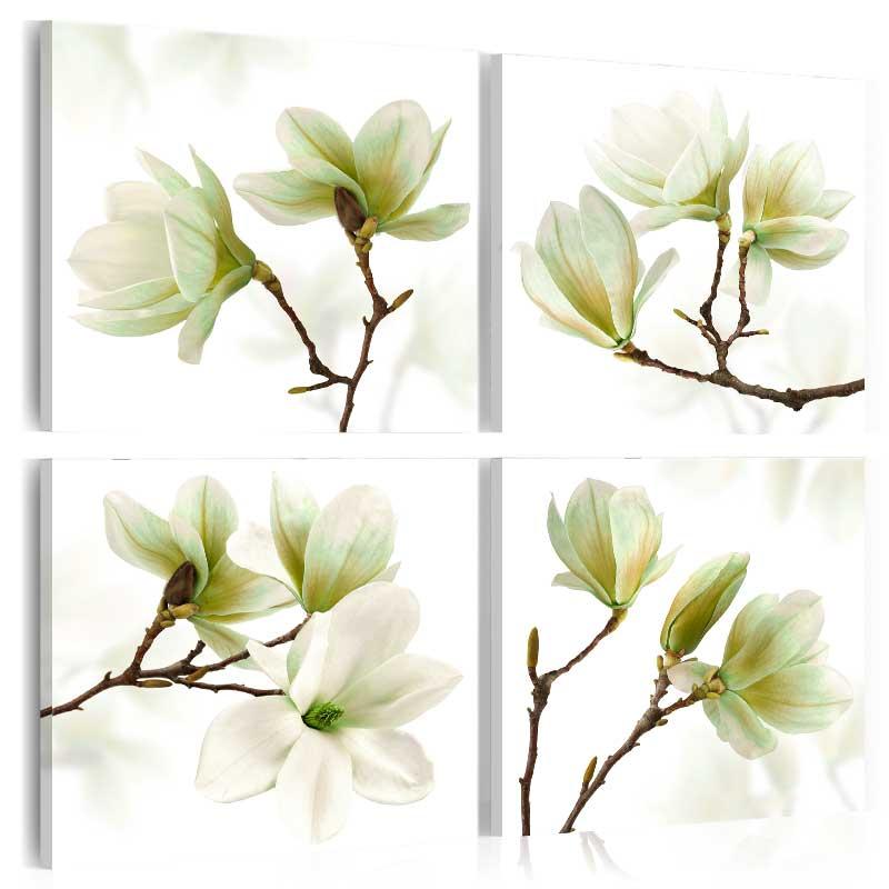 Billede - Admiration of Magnolia - 40 x 40 cm - Standard billede