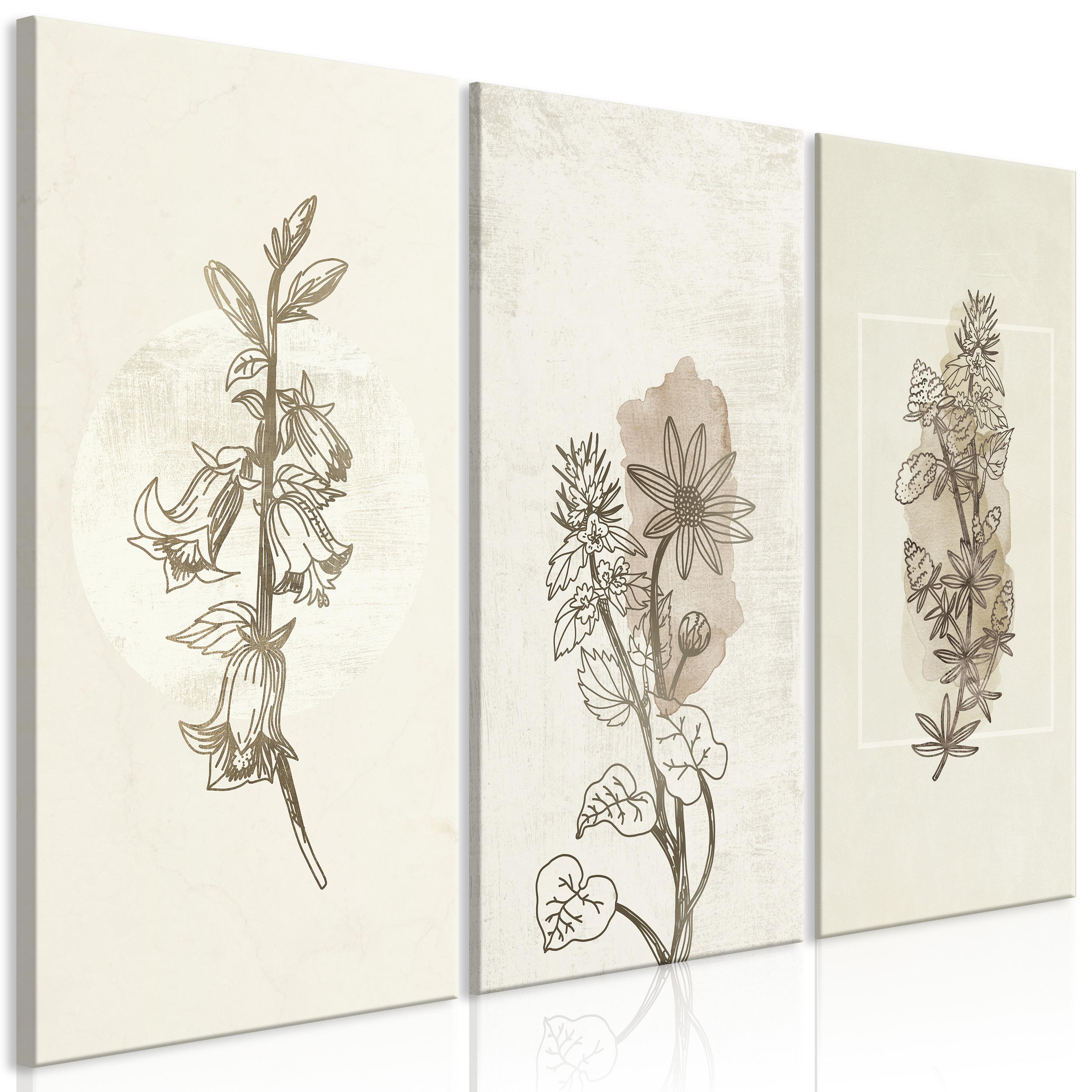 Billede - Herbarium (3 dele) - 90 x 60 cm - På italiensk lærred billede