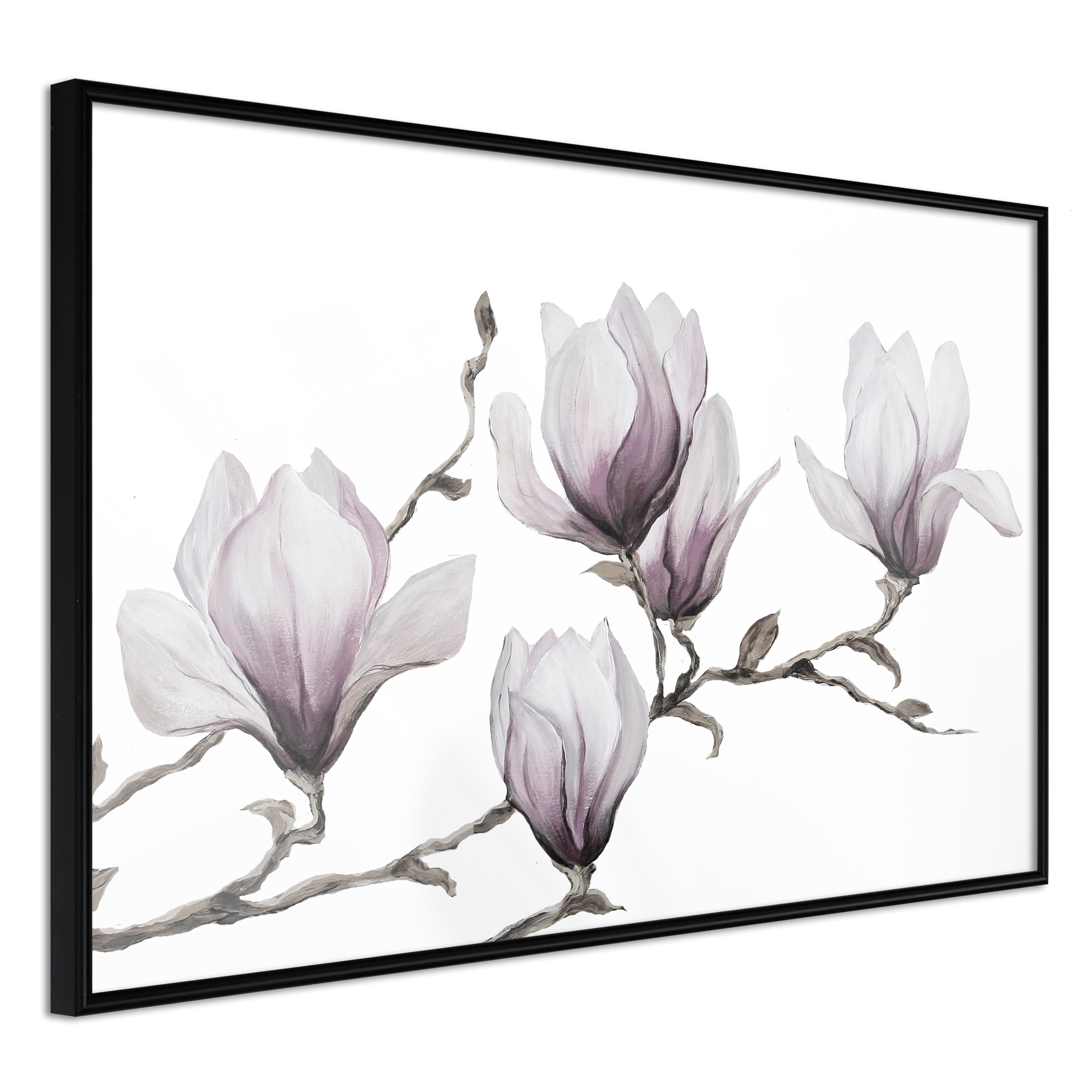 Plakat - Painted Magnolias - 90 x 60 cm - Sort ramme billede
