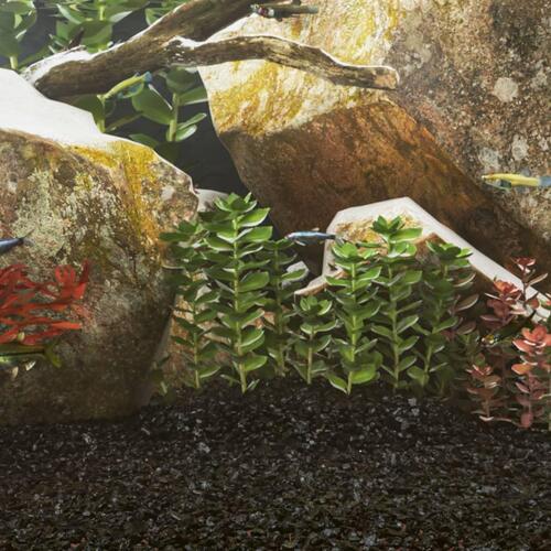 Akvariesand 10 kg 0,2-2 mm sort
