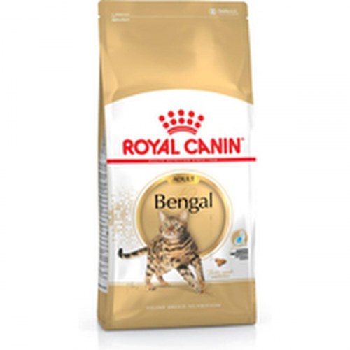 Royal Canin Bengal Adult kattemad - 10 kg