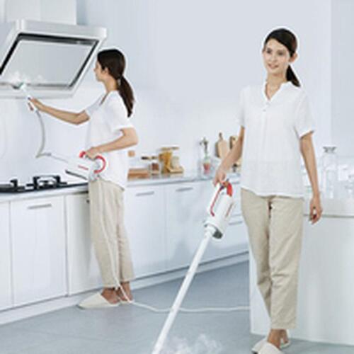 Damprenser Deerma ZQ610 1600 W