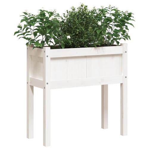 Plantekasse med ben 70x31x70 cm massivt fyrretræ hvid